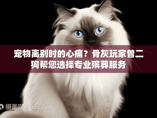 宠物离别时的心痛？骨灰玩家曾二狗帮您选择专业殡葬服务