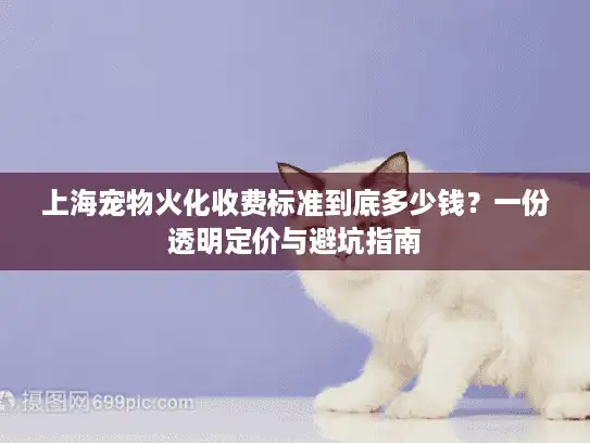 上海宠物火化收费标准到底多少钱？一份透明定价与避坑指南