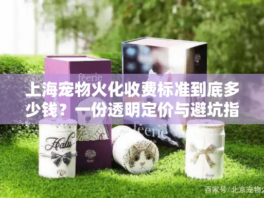 上海宠物火化收费标准到底多少钱？一份透明定价与避坑指南