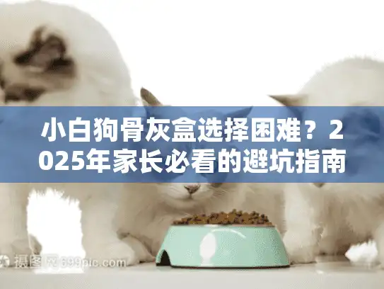 小白狗骨灰盒选择困难？2025年家长必看的避坑指南