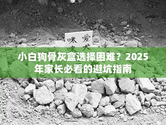 小白狗骨灰盒选择困难？2025年家长必看的避坑指南