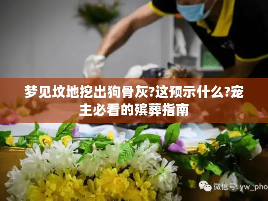 梦见坟地挖出狗骨灰?这预示什么?宠主必看的殡葬指南