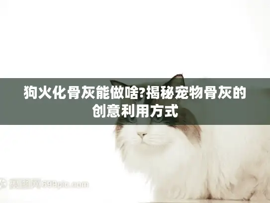 狗火化骨灰能做啥?揭秘宠物骨灰的创意利用方式