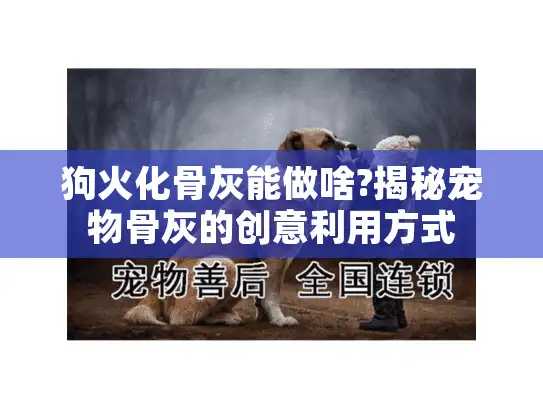 狗火化骨灰能做啥?揭秘宠物骨灰的创意利用方式