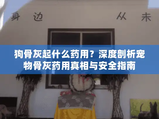 狗骨灰起什么药用？深度剖析宠物骨灰药用真相与安全指南