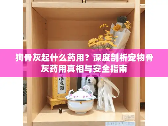 狗骨灰起什么药用？深度剖析宠物骨灰药用真相与安全指南