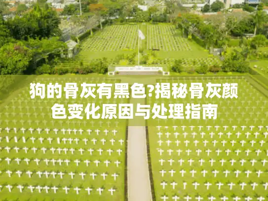 狗的骨灰有黑色?揭秘骨灰颜色变化原因与处理指南