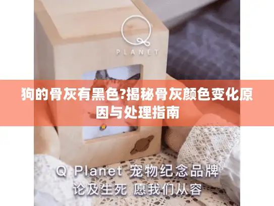 狗的骨灰有黑色?揭秘骨灰颜色变化原因与处理指南