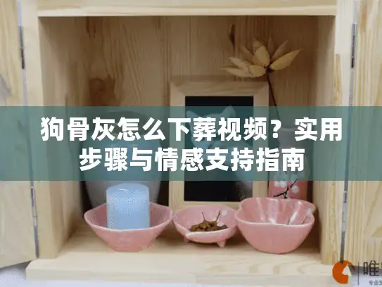 狗骨灰怎么下葬视频？实用步骤与情感支持指南