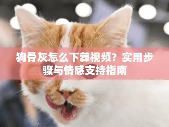 狗骨灰怎么下葬视频？实用步骤与情感支持指南