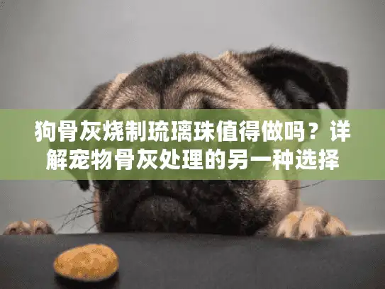 狗骨灰烧制琉璃珠值得做吗？详解宠物骨灰处理的另一种选择