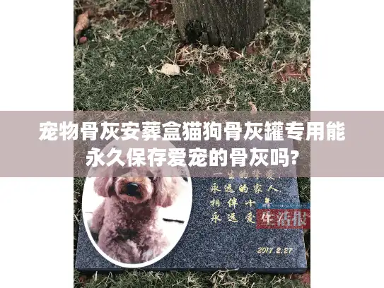 宠物骨灰安葬盒猫狗骨灰罐专用能永久保存爱宠的骨灰吗?