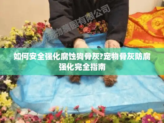 如何安全强化腐蚀狗骨灰?宠物骨灰防腐强化完全指南