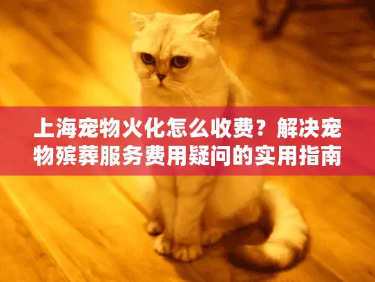 上海宠物火化怎么收费？解决宠物殡葬服务费用疑问的实用指南