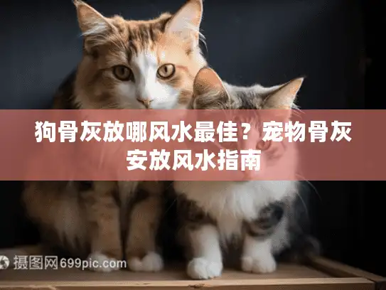 狗骨灰放哪风水最佳？宠物骨灰安放风水指南