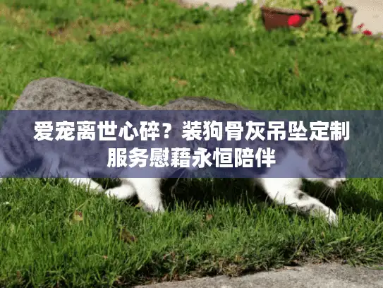 爱宠离世心碎？装狗骨灰吊坠定制服务慰藉永恒陪伴