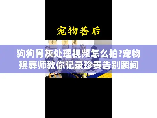 狗狗骨灰处理视频怎么拍?宠物殡葬师教你记录珍贵告别瞬间