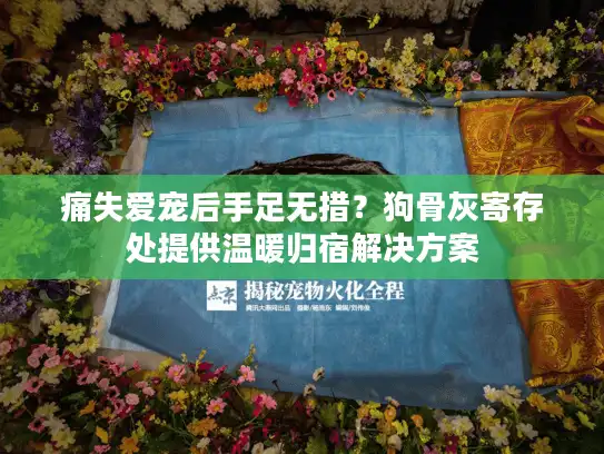 痛失爱宠后手足无措？狗骨灰寄存处提供温暖归宿解决方案