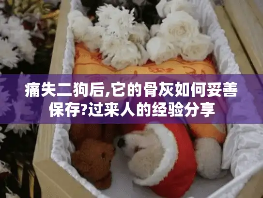 痛失二狗后,它的骨灰如何妥善保存?过来人的经验分享