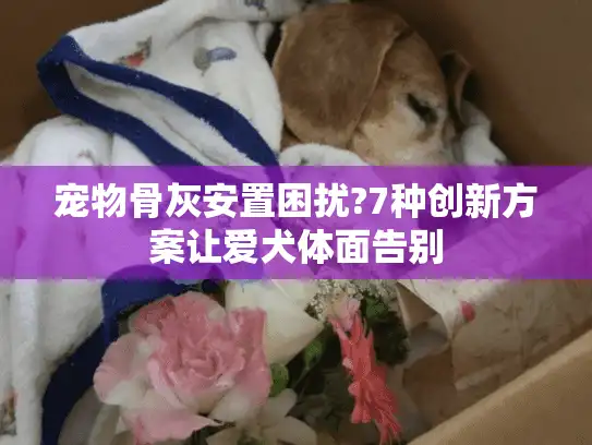 宠物骨灰安置困扰?7种创新方案让爱犬体面告别