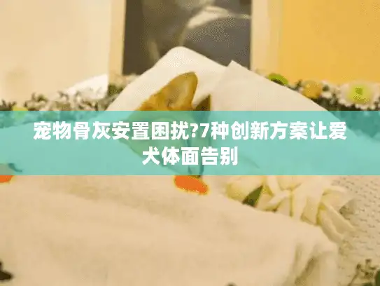 宠物骨灰安置困扰?7种创新方案让爱犬体面告别