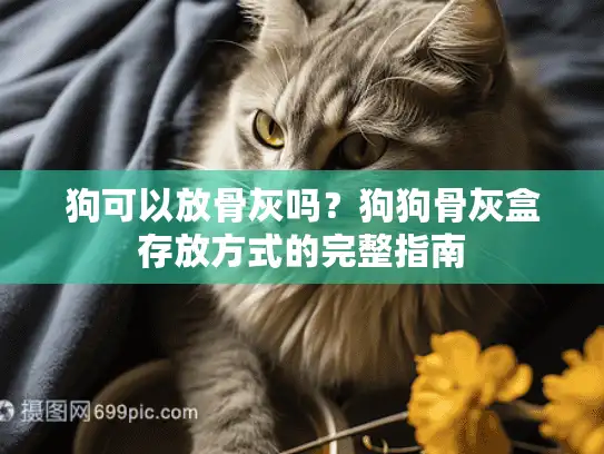 狗可以放骨灰吗？狗狗骨灰盒存放方式的完整指南