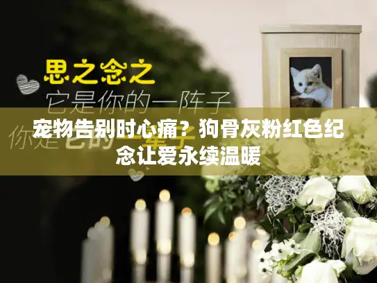 宠物告别时心痛？狗骨灰粉红色纪念让爱永续温暖