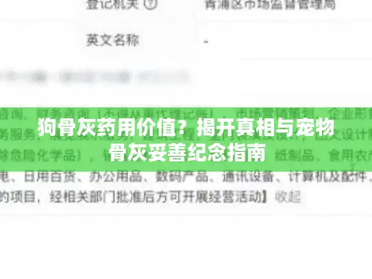 狗骨灰药用价值？揭开真相与宠物骨灰妥善纪念指南