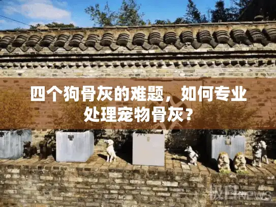 四个狗骨灰的难题，如何专业处理宠物骨灰？