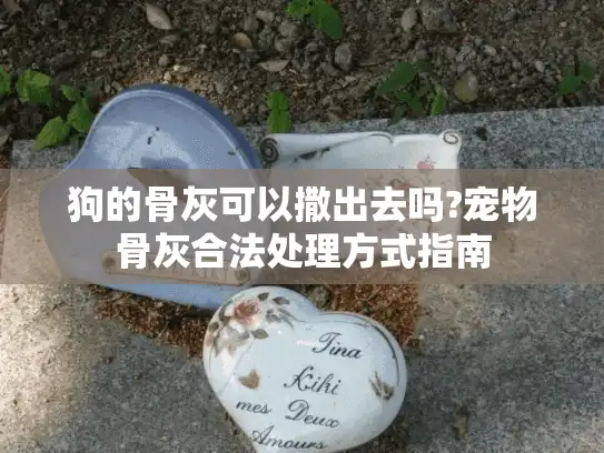 狗的骨灰可以撒出去吗?宠物骨灰合法处理方式指南