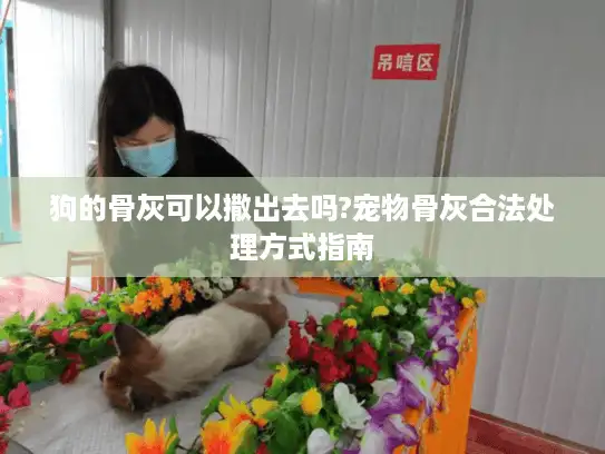 狗的骨灰可以撒出去吗?宠物骨灰合法处理方式指南