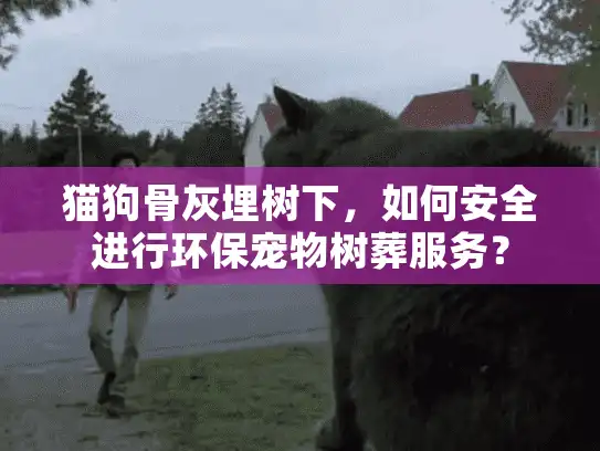 猫狗骨灰埋树下，如何安全进行环保宠物树葬服务？