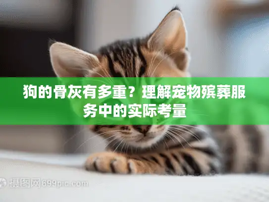 狗的骨灰有多重？理解宠物殡葬服务中的实际考量