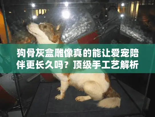 狗骨灰盒雕像真的能让爱宠陪伴更长久吗？顶级手工艺解析