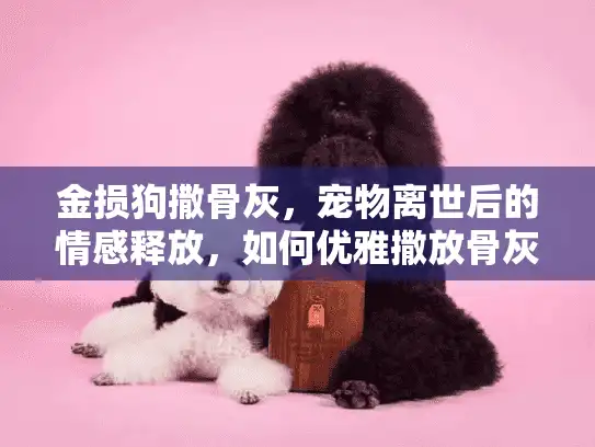 金损狗撒骨灰，宠物离世后的情感释放，如何优雅撒放骨灰告别爱犬？