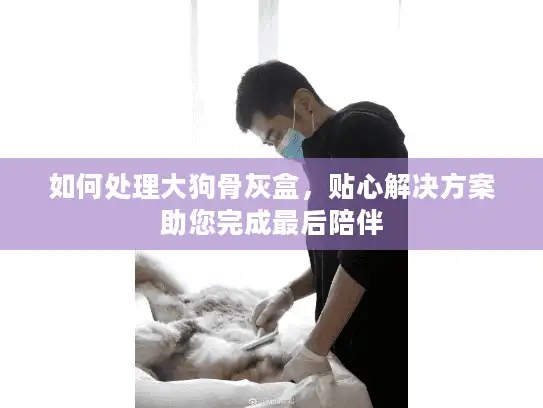 如何处理大狗骨灰盒，贴心解决方案助您完成最后陪伴
