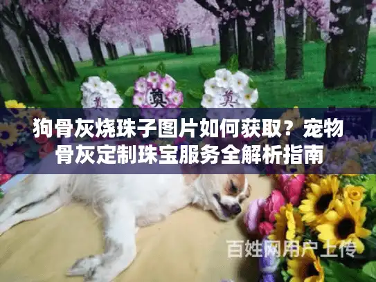 狗骨灰烧珠子图片如何获取？宠物骨灰定制珠宝服务全解析指南