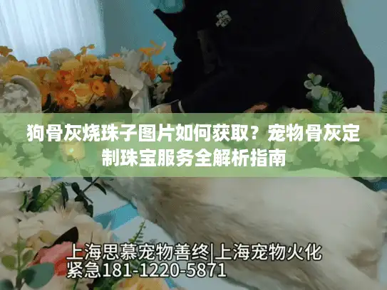 狗骨灰烧珠子图片如何获取？宠物骨灰定制珠宝服务全解析指南