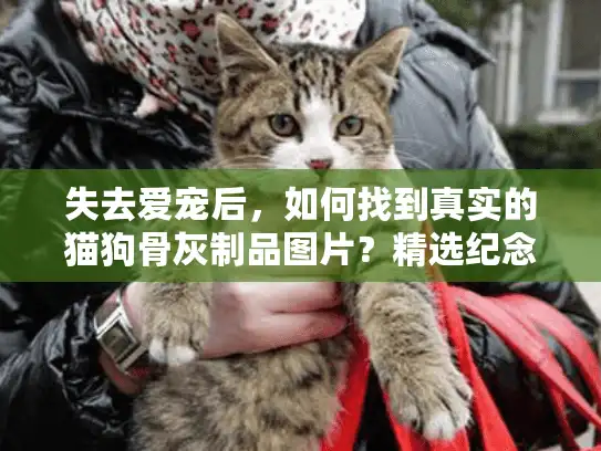 失去爱宠后，如何找到真实的猫狗骨灰制品图片？精选纪念方案一览