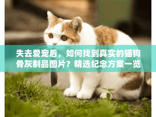 失去爱宠后，如何找到真实的猫狗骨灰制品图片？精选纪念方案一览