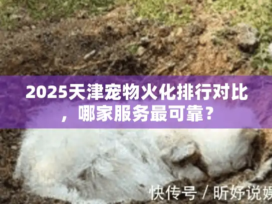 2025天津宠物火化排行对比，哪家服务最可靠？