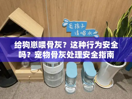 给狗崽喂骨灰？这种行为安全吗？宠物骨灰处理安全指南