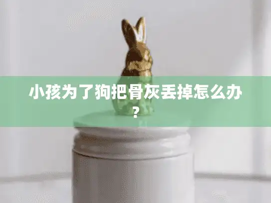 小孩为了狗把骨灰丢掉怎么办?