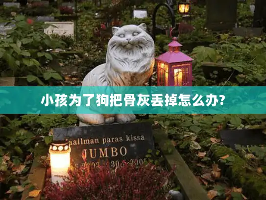 小孩为了狗把骨灰丢掉怎么办?
