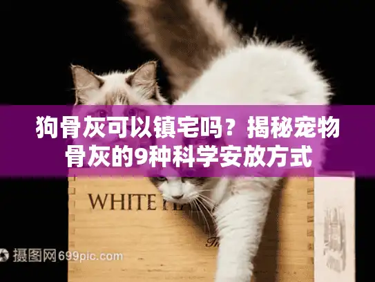 狗骨灰可以镇宅吗？揭秘宠物骨灰的9种科学安放方式