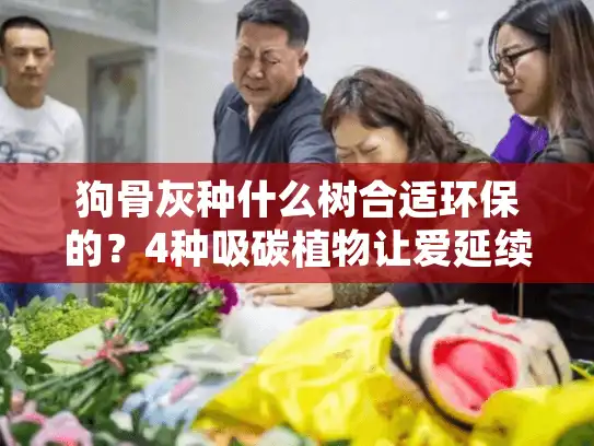 狗骨灰种什么树合适环保的？4种吸碳植物让爱延续
