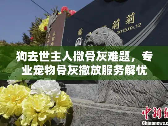 狗去世主人撒骨灰难题，专业宠物骨灰撒放服务解忧