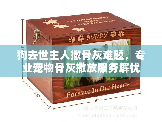 狗去世主人撒骨灰难题，专业宠物骨灰撒放服务解忧