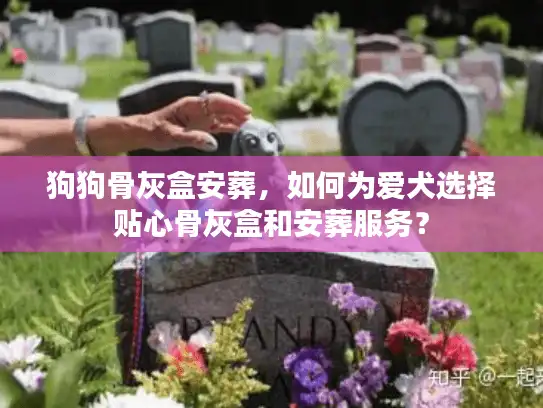 狗狗骨灰盒安葬，如何为爱犬选择贴心骨灰盒和安葬服务？