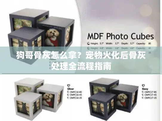 狗哥骨灰怎么拿？宠物火化后骨灰处理全流程指南